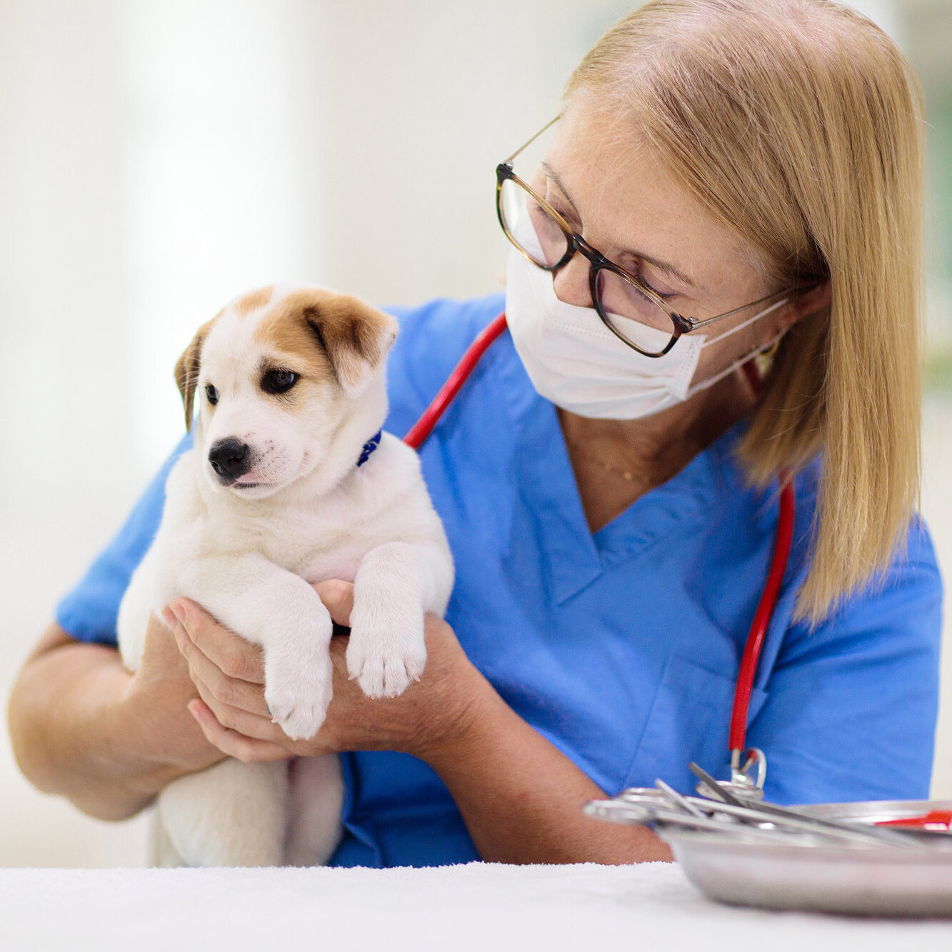 Tieräztin mit Hundewelpem